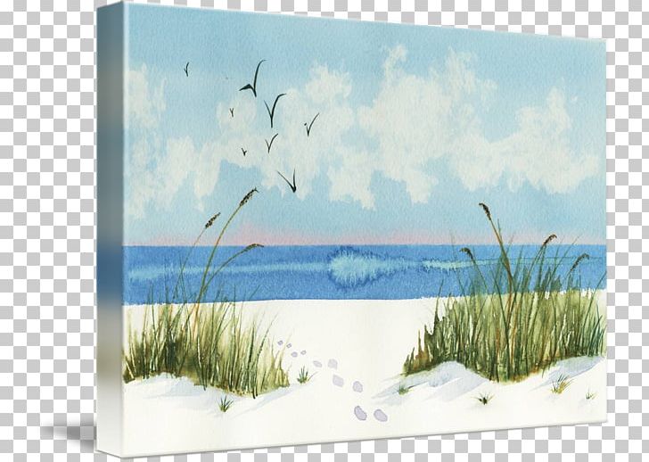 Shore Island Beach State Park Dune Sand PNG, Clipart, Beach, Beach Watercolor, Canvas Print, Dune, Ecosystem Free PNG Download