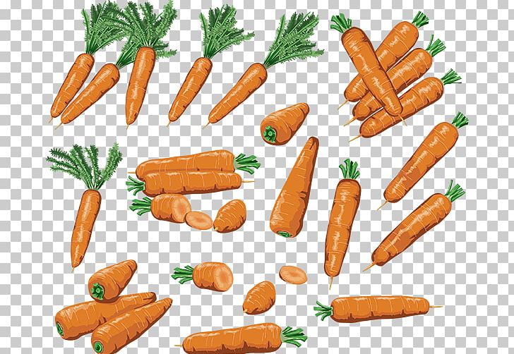 Baby Carrot PNG, Clipart, Baby Carrot, Bockwurst, Breakfast Sausage, Carrot, Clip Art Free PNG Download