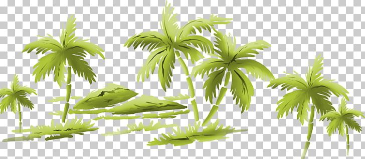 Floral Design Flower Art PNG, Clipart, Arecales, Art, Art Museum, Coconut, Desktop Wallpaper Free PNG Download