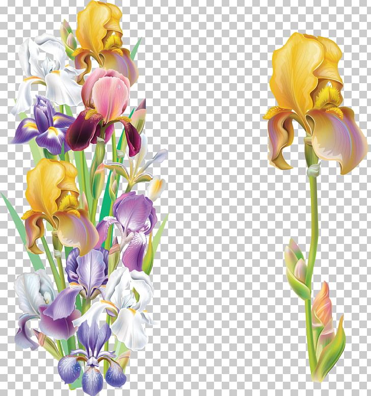 Iris Versicolor Iris Flower Data Set PNG, Clipart, Cut Flowers, Drawing, Encapsulated Postscript, Floral Design, Flower Free PNG Download