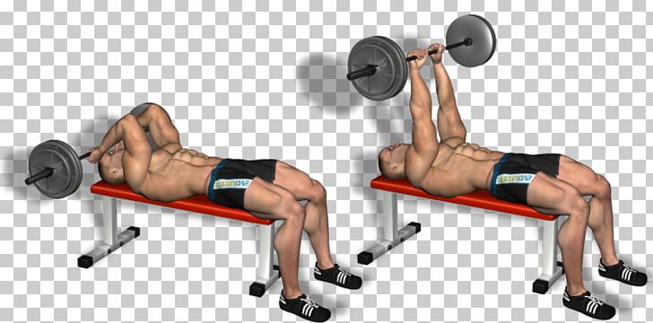 Weight Training Barbell Bench Press Triceps Brachii Muscle Lying Triceps Extensions PNG, Clipart, Abdomen, Arm, Exercise, Fitness Centre, Fitness Professional Free PNG Download