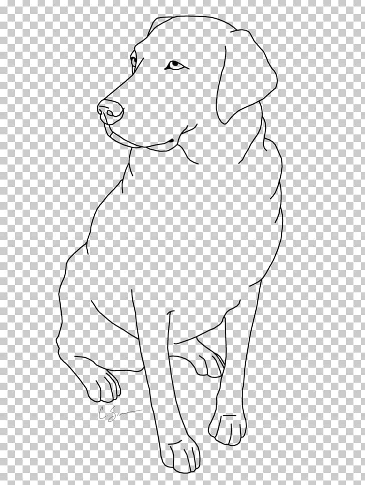 Labrador Retriever Golden Retriever Puppy St. John's Water Dog German Shepherd PNG, Clipart, Animals, Area, Artwork, Black And White, Book Free PNG Download