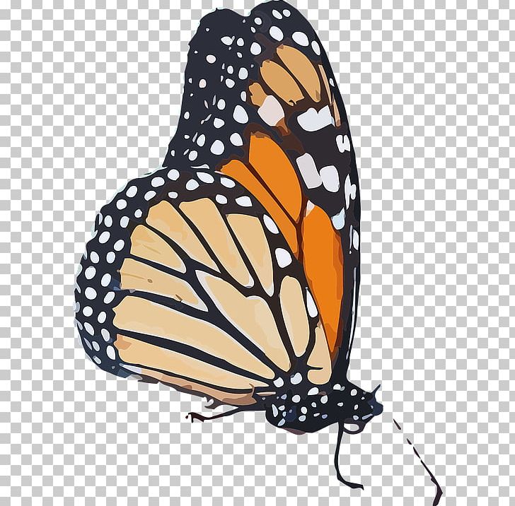 Monarch Butterfly Queen Insect Wing PNG, Clipart, Animal, Animal Migration, Brush Footed Butterfly, Butterflies, Butterfly Free PNG Download
