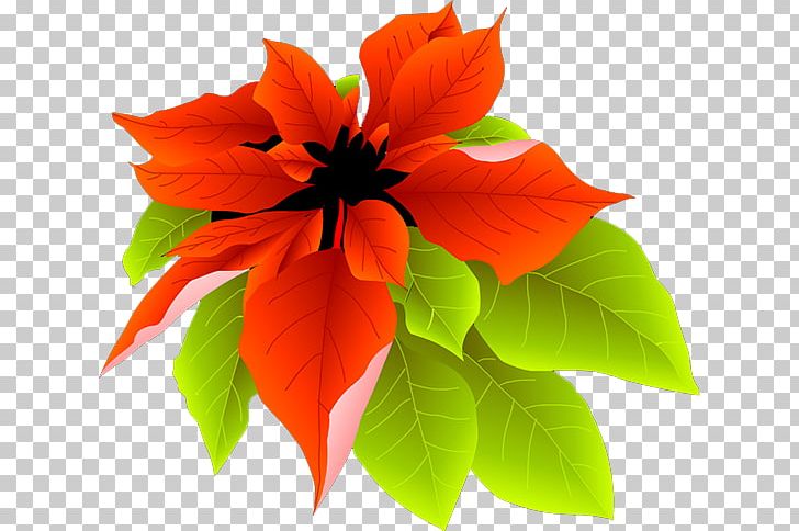 Petal PNG, Clipart, Autumn Leaves, Banana Leaves, Beautiful, Fall Leaves, Flower Free PNG Download