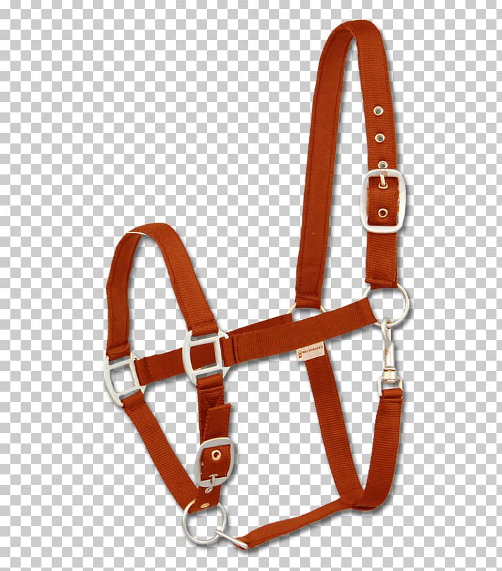 Shetland Pony Halter Bridle Panic Snap PNG, Clipart, Bit, Bridle, Climbing Harness, Color, Equestrian Free PNG Download
