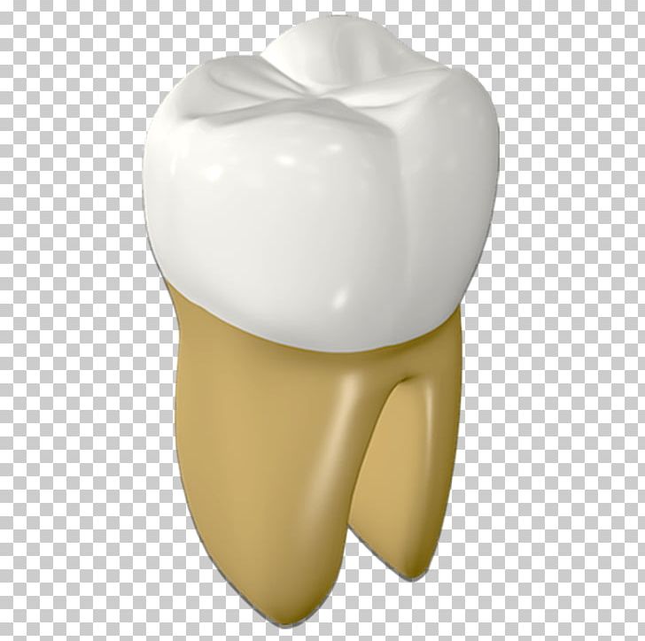 Tooth Human Mouth PNG, Clipart, Baby Teeth, Cavity, Dentures, Download, Front Teeth Free PNG Download