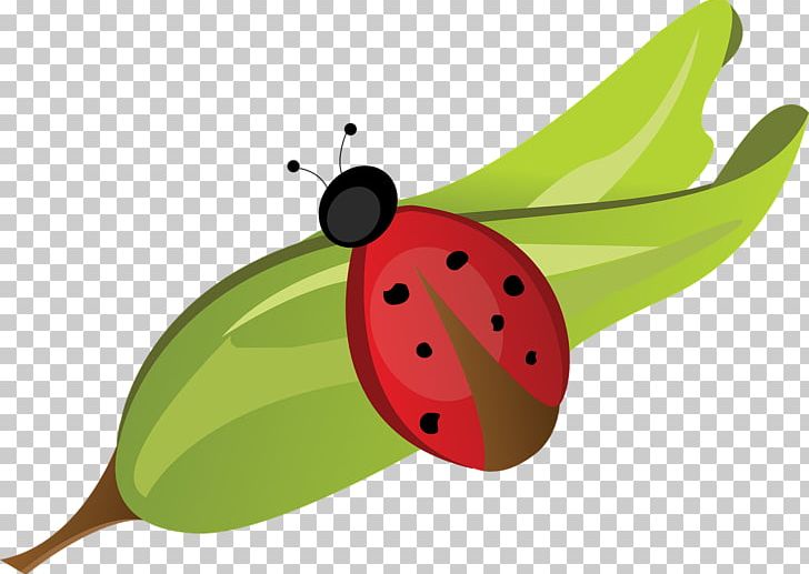 Beetle Ladybird Pixabay PNG, Clipart, Animal, Animals, Baby Sleep, Baby Sleeping, Beatles Free PNG Download