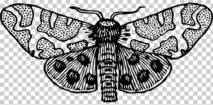 Butterfly Insect Moth PNG, Clipart,  Free PNG Download