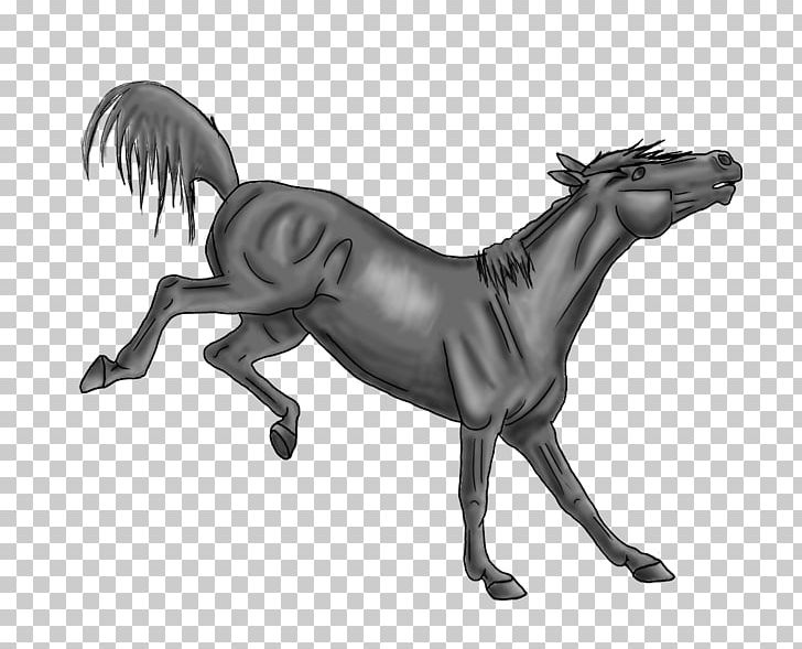 How To Draw A Horse Bucking Stallion Drawing PNG, Clipart, Animals, Bit, Black And White, Bridle, Bucking Free PNG Download