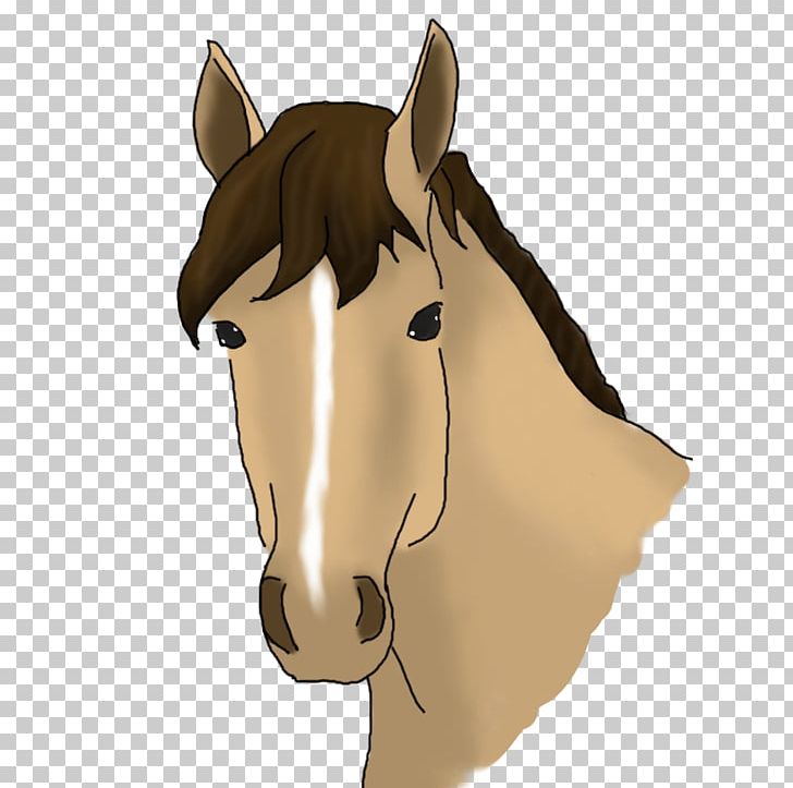 Mane Mustang Bridle Stallion Halter PNG, Clipart, Character, Ear, Fiction, Fictional Character, Hair Free PNG Download