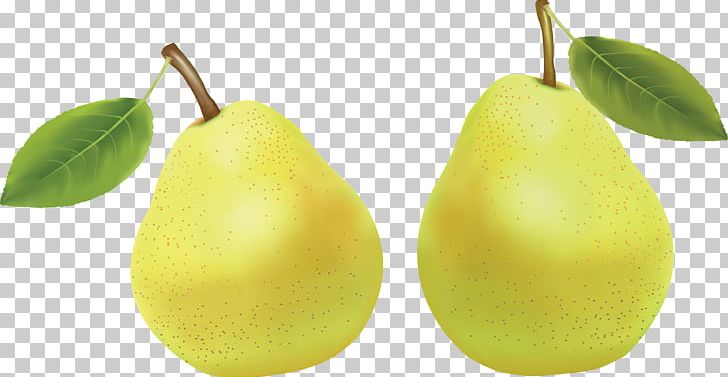 Pear Photography PNG, Clipart, Armut, Armut Resimleri, Computer Icons, Download, Food Free PNG Download