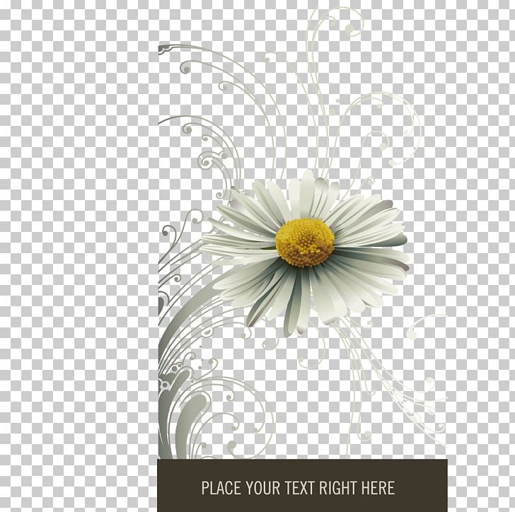 Motif Google S PNG, Clipart, Abstract Pattern, Cartoon, Christmas Decoration, Chrysanthemum Vector, Common Daisy Free PNG Download