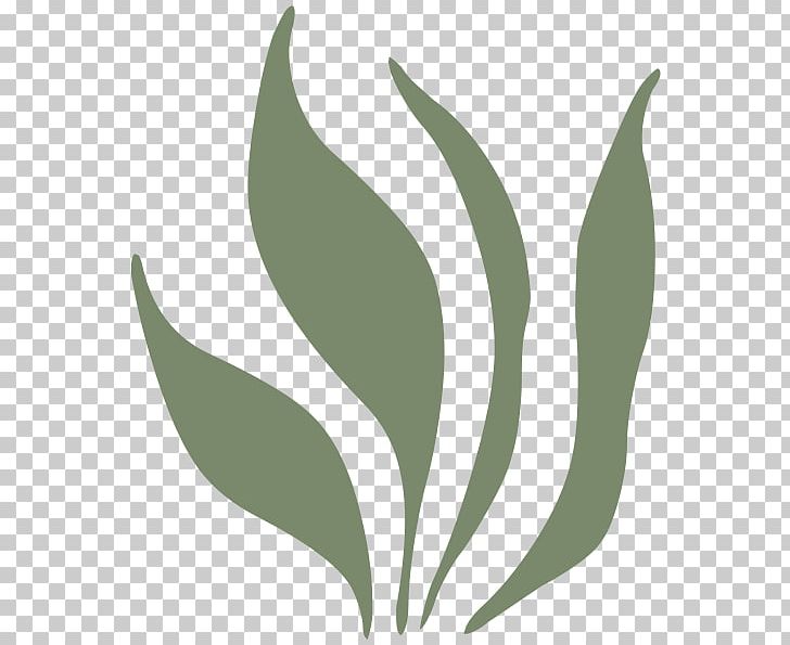 Leaf PNG, Clipart, Creative Commons, Creative Commons License, Flora, Grass, Green Free PNG Download