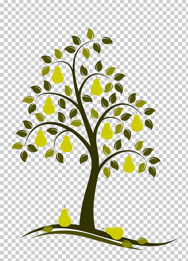 Their Eyes Were Watching God Pear Tree Drawing PNG, Clipart, Beauty Parlor, Blossom, Branch, Cherry, Drawing Free PNG Download