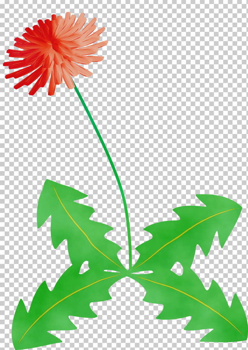 Leaf Dandelion Plant Stem Pedicel Flower PNG, Clipart, Branch, Daisy Family, Dandelion, Dandelion Flower, Flower Free PNG Download