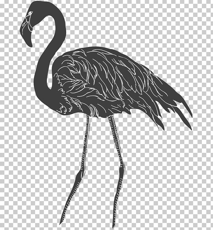 Black And White Drawing Sketch PNG, Clipart, Art, Beak, Bird, Black, Black And White Free PNG Download