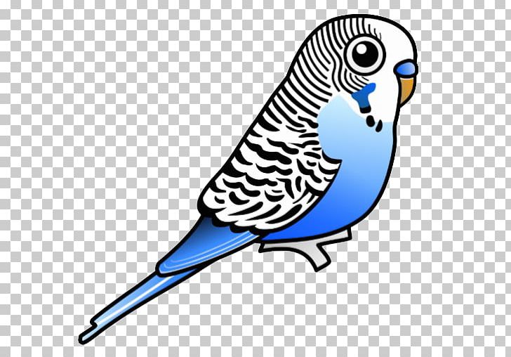 Budgerigar Parrot Bird Parakeet Cartoon PNG, Clipart, Animals, Artwork, Beak, Bird, Blue Free PNG Download