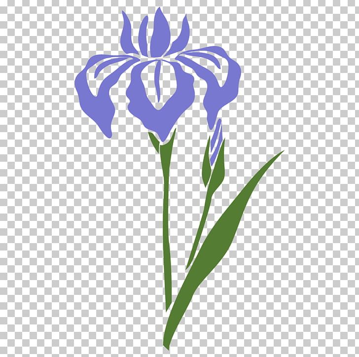 Sweet Flag Iris Sanguinea Iris Ensata Var. Ensata 洗百病 PNG, Clipart,  Free PNG Download