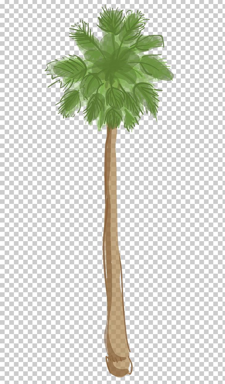 Asian Palmyra Palm Arecaceae Beverly Hills California Palm Tree PNG, Clipart, Arecaceae, Arecales, Asian Palmyra Palm, Beverly Hills, Borassus Free PNG Download