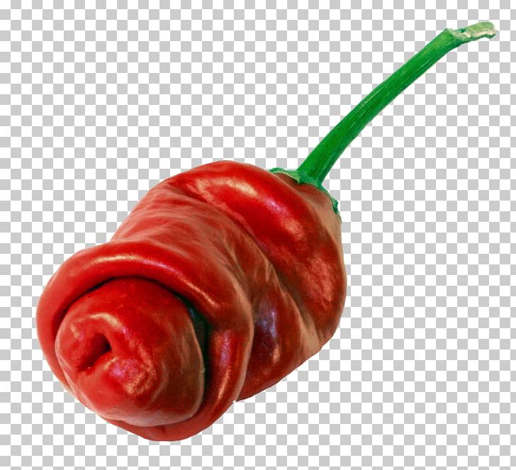 Habanero Serrano Pepper Tabasco Pepper Bird's Eye Chili Cayenne Pepper PNG, Clipart,  Free PNG Download