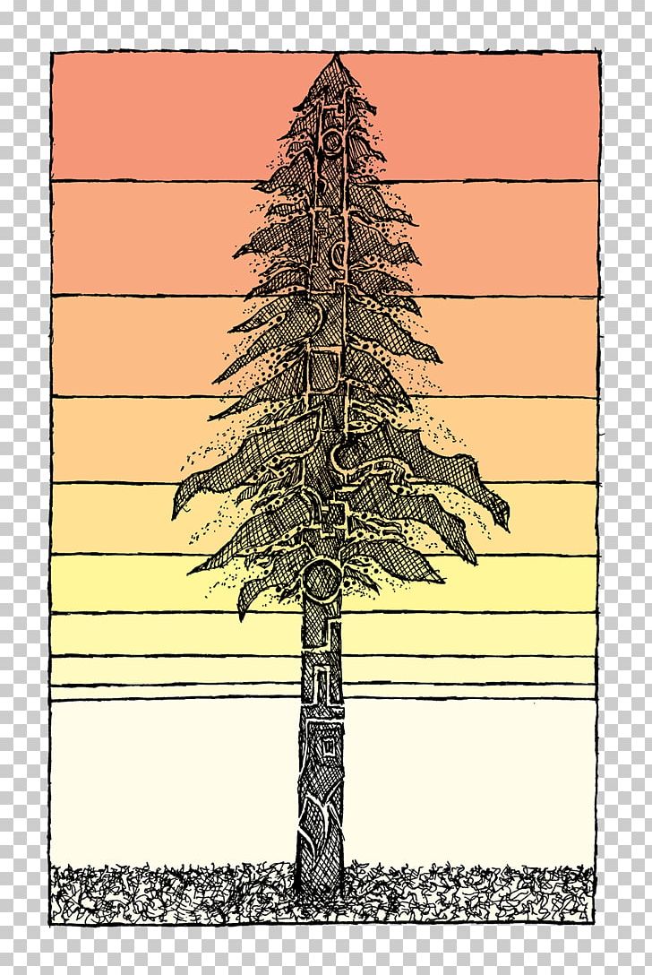Tree Coast Redwood Drawing Plant Sketch PNG, Clipart, Art, Branch, Christmas Tree, Coast Redwood, Conifer Free PNG Download