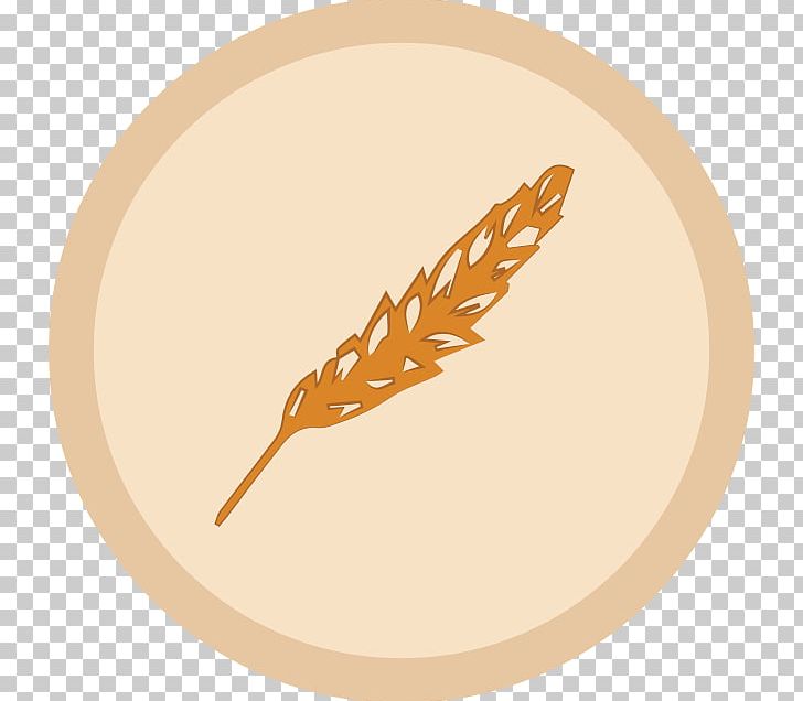 Beer Brewing Grains & Malts Gongshow Gear Inc. Commodity Wheat PNG, Clipart, Beer, Beer Brewing Grains Malts, Commodity, Food, Food Drinks Free PNG Download