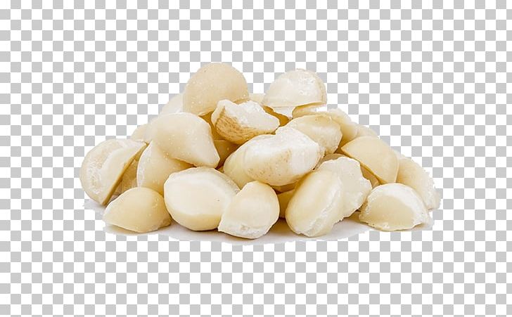 Macadamia Nut Commodity PNG, Clipart, Commodity, Food, Hula, Ingredient, Macadamia Free PNG Download