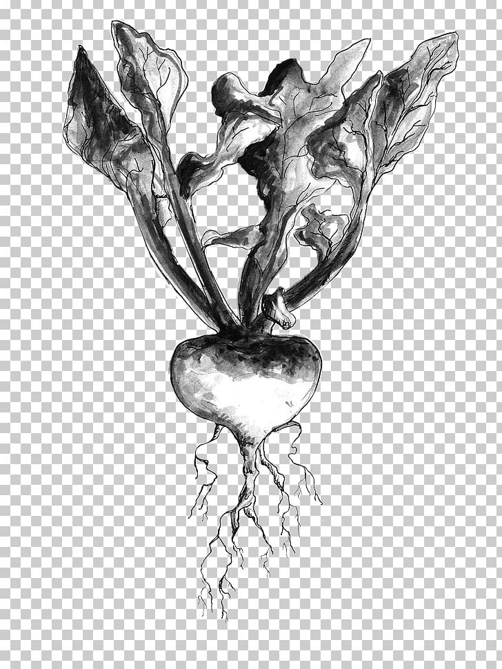 Visual Arts White Sketch PNG, Clipart, Art, Artwork, Black And White, Branch, Drawing Free PNG Download