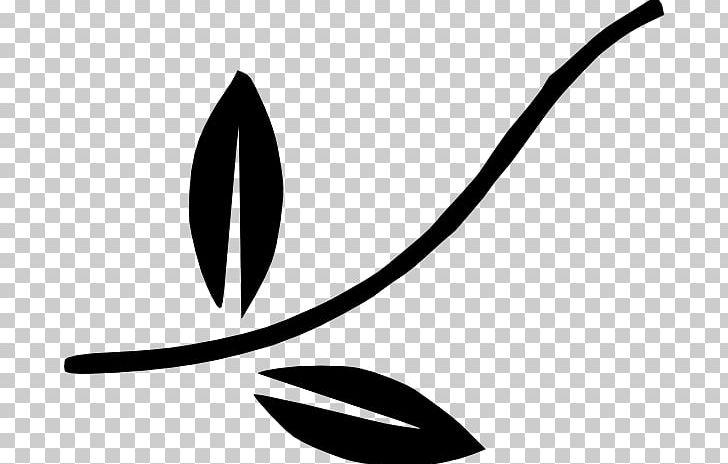 Black White Pattern PNG, Clipart, Angle, Black, Black And White, Branch Leaves Cliparts, Line Free PNG Download