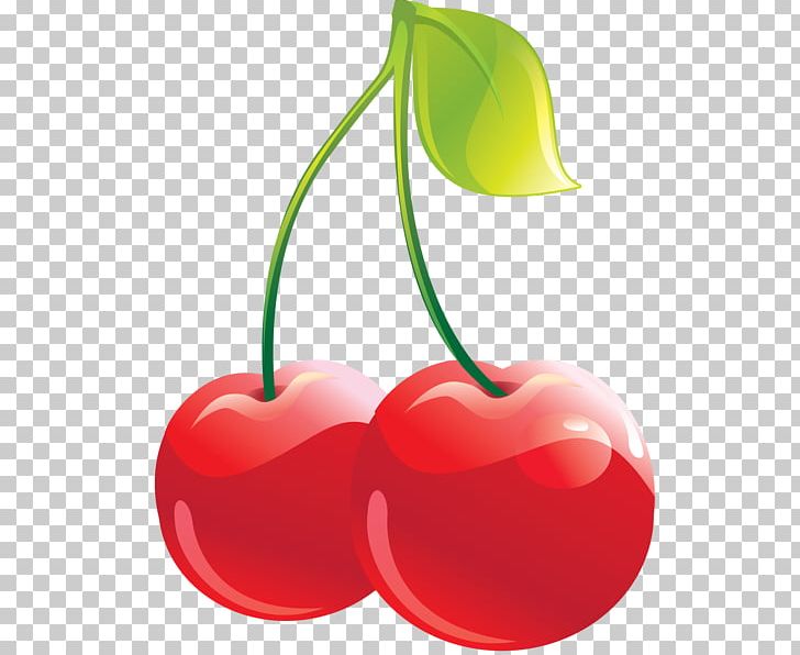 Cordial Cherry Fruit PNG, Clipart, Cherry, Cherry Clipart, Clip, Cordial, Drawing Free PNG Download
