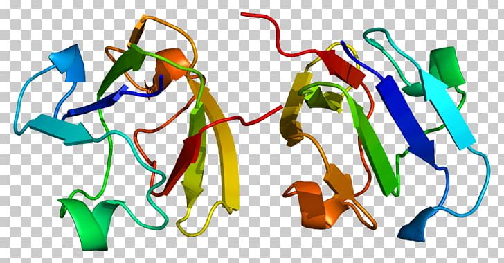 Crystallin Protein Deamidation CRYGS Gene PNG, Clipart, 3 T, Amino Acid, Area, Asparagine, Cornea Free PNG Download