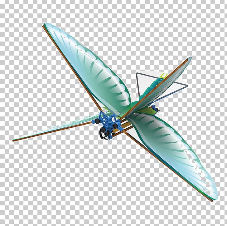 Insect Wing Ornithopter Bird Flight PNG, Clipart, Airplane, Animals, Bat, Bird, Bird Flight Free PNG Download
