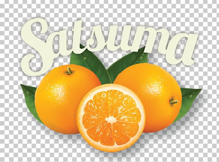 Mandarin Orange Tangerine Tangelo Rangpur Bitter Orange PNG, Clipart, Bitter Orange, Citric Acid, Citrus, Clementine, Diet Food Free PNG Download