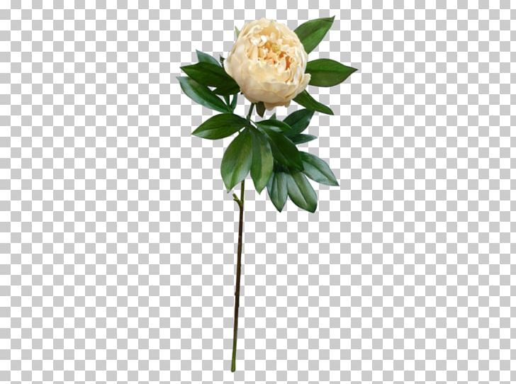 Peony Cut Flowers Artificial Flower Flower Bouquet PNG, Clipart, Artificial Flower, Cranberry, Cut Flowers, Flower, Flower Bouquet Free PNG Download