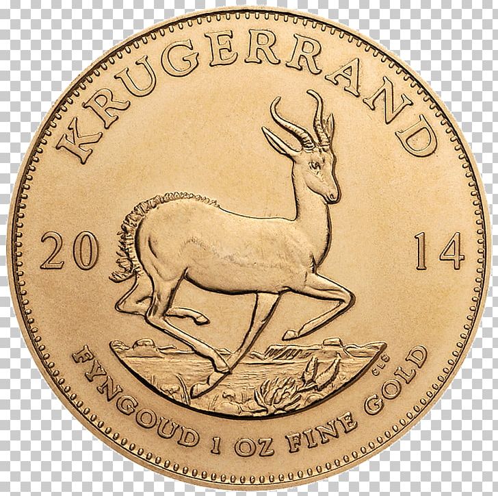 South Africa Krugerrand Bullion Coin Gold Coin Mint PNG, Clipart, Bullion, Bullion Coin, Coin, Currency, Deer Free PNG Download