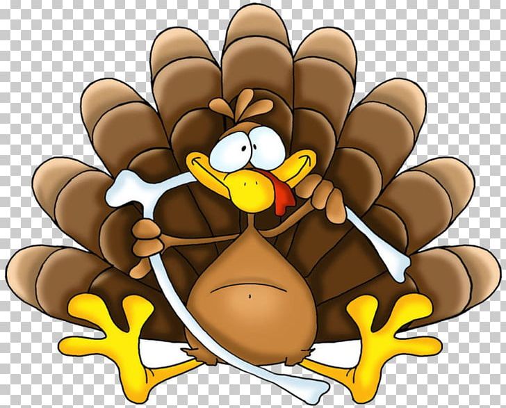 Thanksgiving Holiday Turkey PNG, Clipart, Bird, Carnivoran, Cartoon, Encapsulated Postscript, Finger Free PNG Download