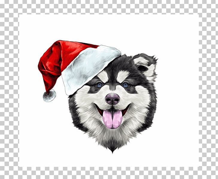 Alaskan Malamute Alaskan Husky Puppy Siberian Husky Golden Retriever PNG, Clipart, Alaskan, Alaskan Husky, Alaskan Malamute, Animal, Animals Free PNG Download