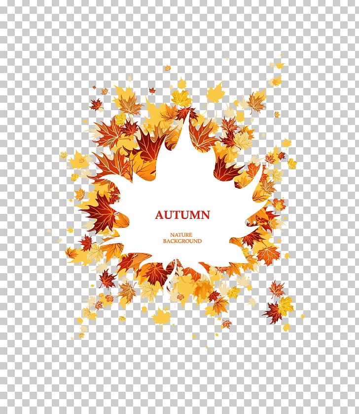 Autumn Leaf Color Maple Leaf PNG, Clipart, Autumn Tree, Autumn Vector, Color, Defoliation, Fall Free PNG Download