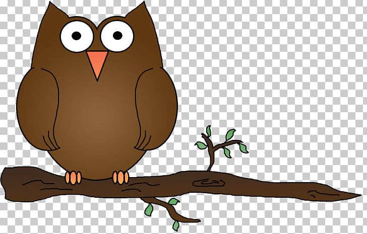Elf Owl PNG, Clipart, Animals, Beak, Bird, Bird Of Prey, Desert Owl Free PNG Download