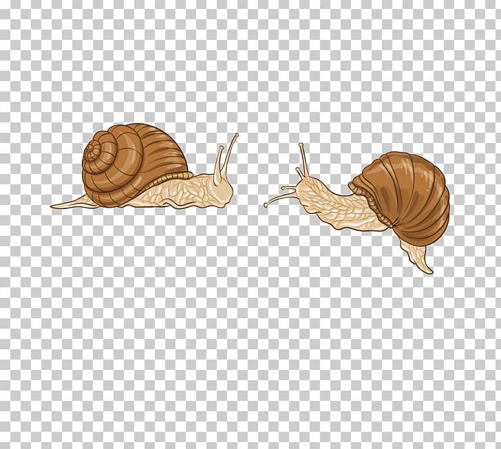 Snail Creativity PNG, Clipart, Animals, Cartoon Snail, Creative Ads, Creative Artwork, Creative Background Free PNG Download