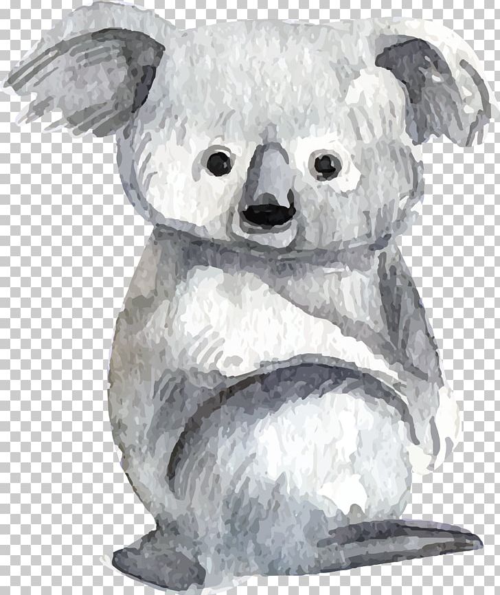 Baby Koalas Lemur Bear Watercolor Painting PNG, Clipart, Animal, Animals, Background Grey, Black And White, Carnivoran Free PNG Download
