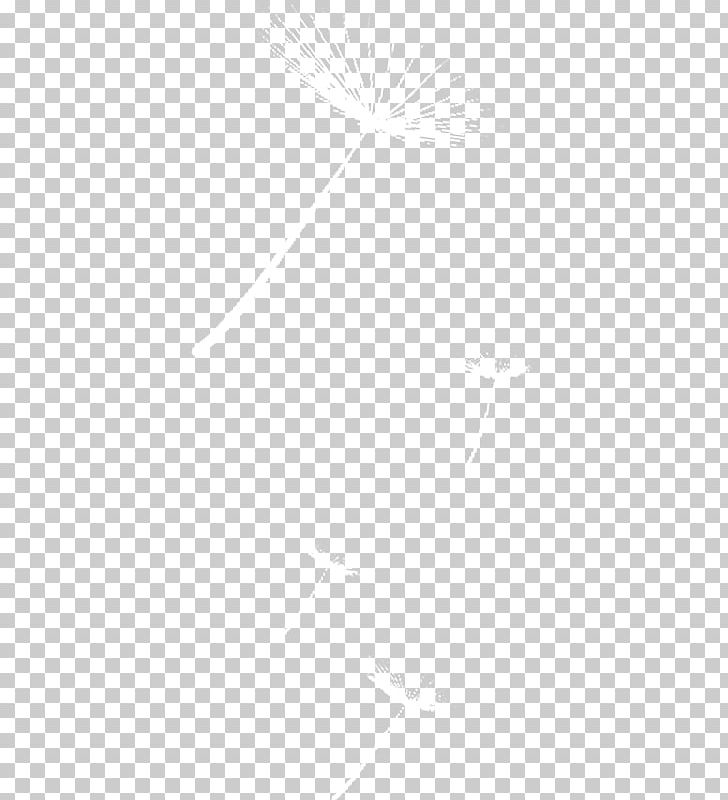 Black And White Line Angle Point PNG, Clipart, Area, Background White, Beauty, Beauty Salon, Black Free PNG Download