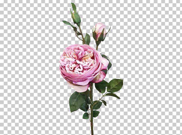 Garden Roses Cabbage Rose Floral Design Cut Flowers PNG, Clipart, Artificial Flower, Cut Flowers, Floral Design, Floristry, Flower Free PNG Download