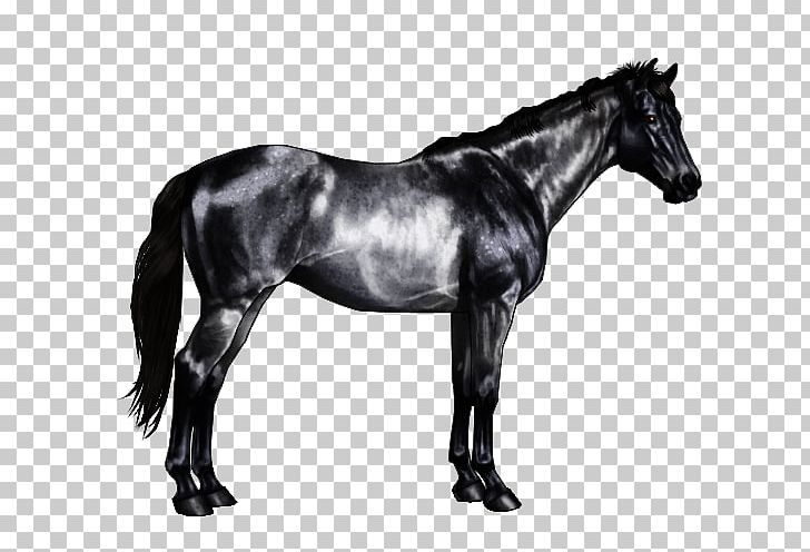 Horse Markings Equine Coat Color Roan Chestnut PNG, Clipart, Bridle, Brindle, Buckskin, Chestnut, Dun Locus Free PNG Download