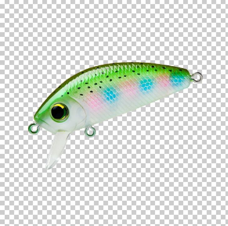 Fishing Baits & Lures Minnow Duel Surface Lure Rainbow Trout PNG, Clipart, Bait, Duel, Fish, Fishing Bait, Fishing Baits Lures Free PNG Download