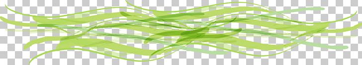 Leaf Grasses Plant Stem Tree Green PNG, Clipart, Abstract, Abstract Background, Abstract Lines, Abstract Vector, Art Free PNG Download