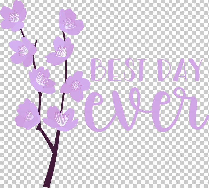 Best Day Ever Wedding PNG, Clipart, Best Day Ever, Branching, Cut Flowers, Floral Design, Flower Free PNG Download