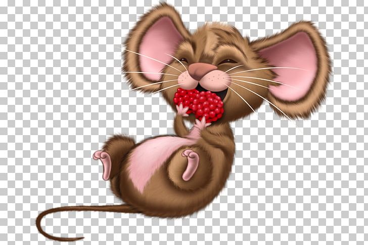 Computer Mouse Rat Drawing PNG, Clipart, Animals, Carnivoran, Cat, Cat Like Mammal, Computer Icons Free PNG Download
