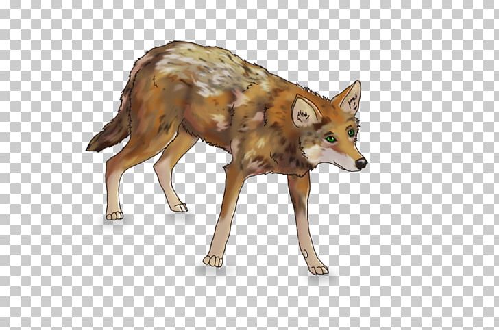 Jackal Gray Wolf Coyote Red Fox Red Wolf PNG, Clipart, Animal, Art, Carnivoran, Coyote, Deviantart Free PNG Download
