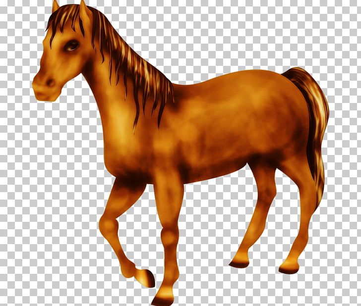 Mustang Foal Pony Stallion Mane PNG, Clipart, Animal Figure, Bridle, Colt, Foal, Google Images Free PNG Download